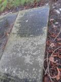image of grave number 569008